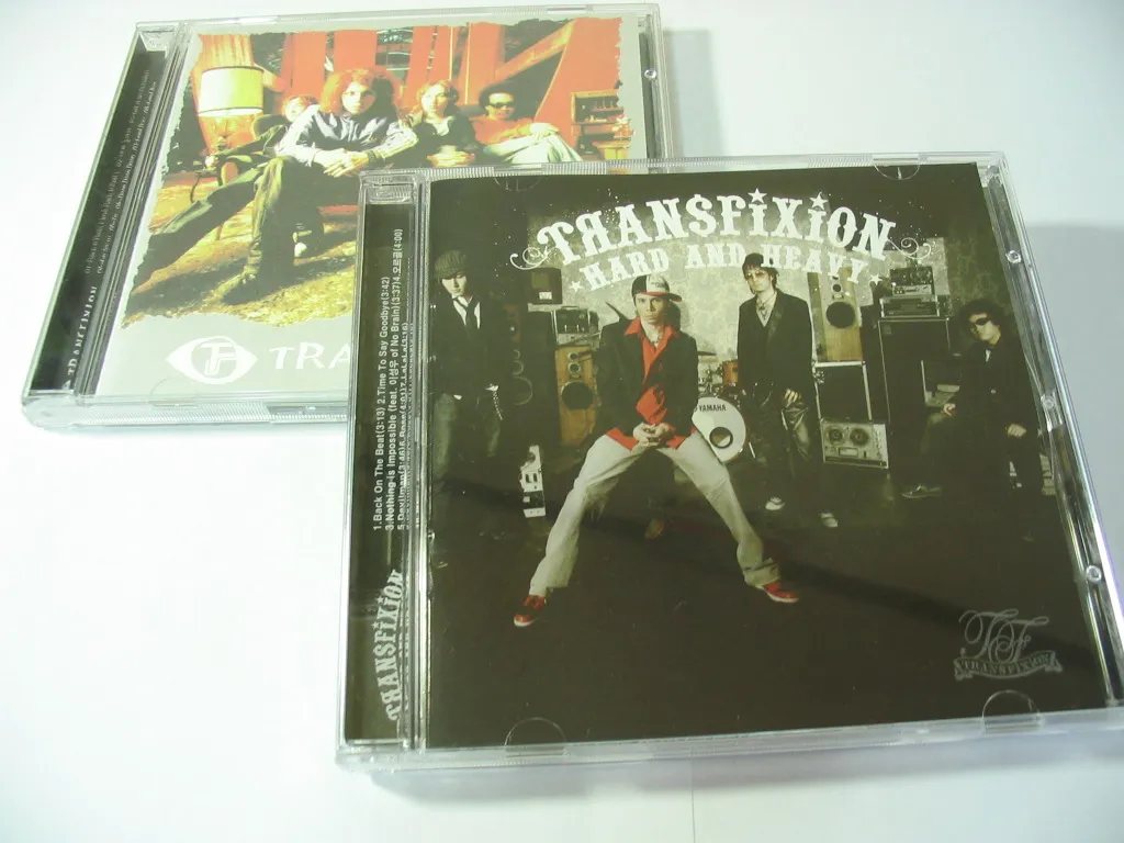 트랜스픽션 2집 발매