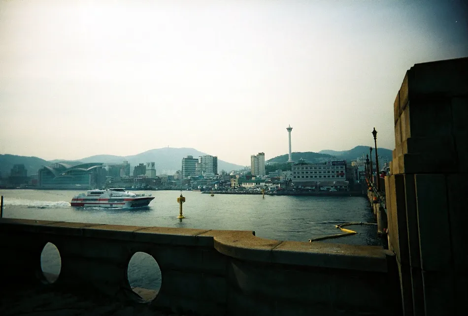 Eximus - 보다. 見