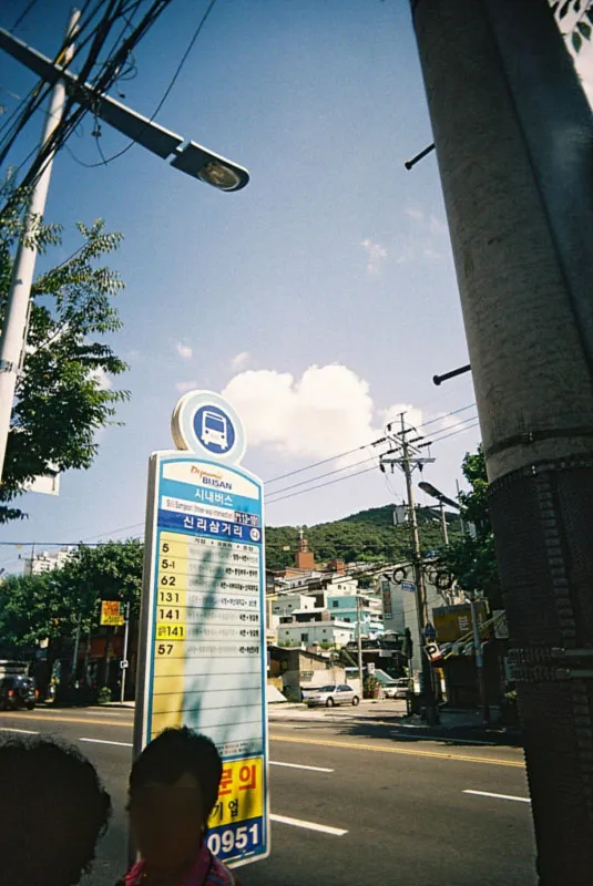 남포동, 용두산 공원, 영도다리