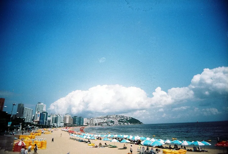 지난 여름 해운대