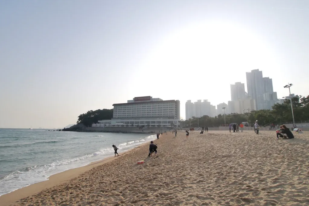 동백섬과 조선 비치 호텔