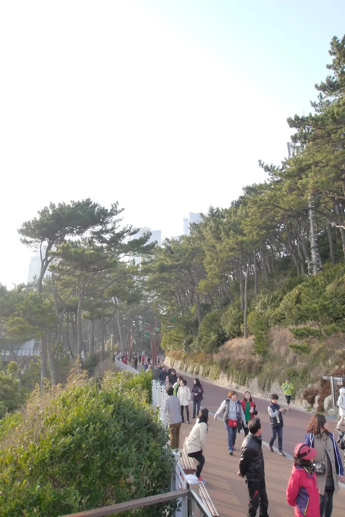 푸르름 속의 삭막함