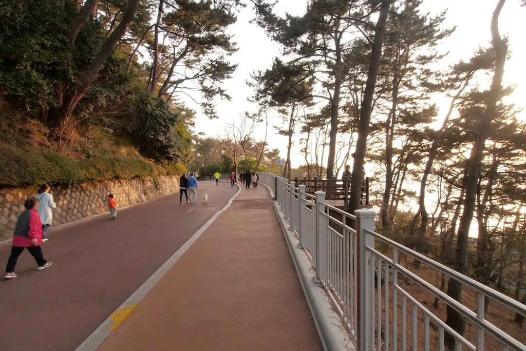 따스한 햇살의 동백섬