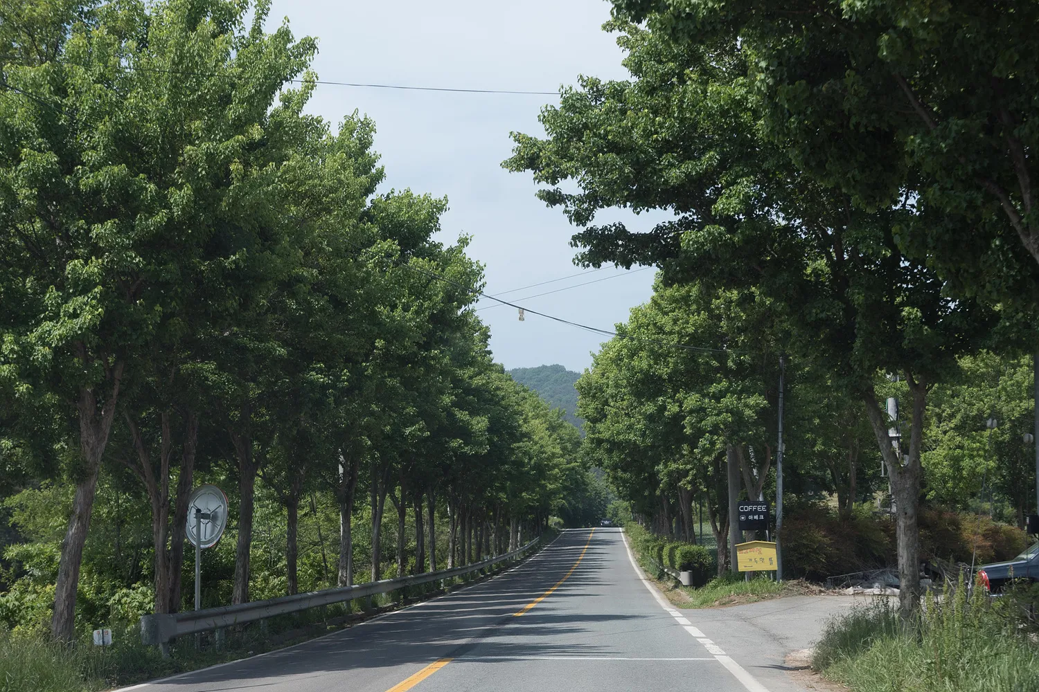 20180511 - 우포늪