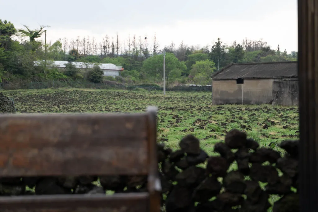 230429 - 제주 동백숲 출사