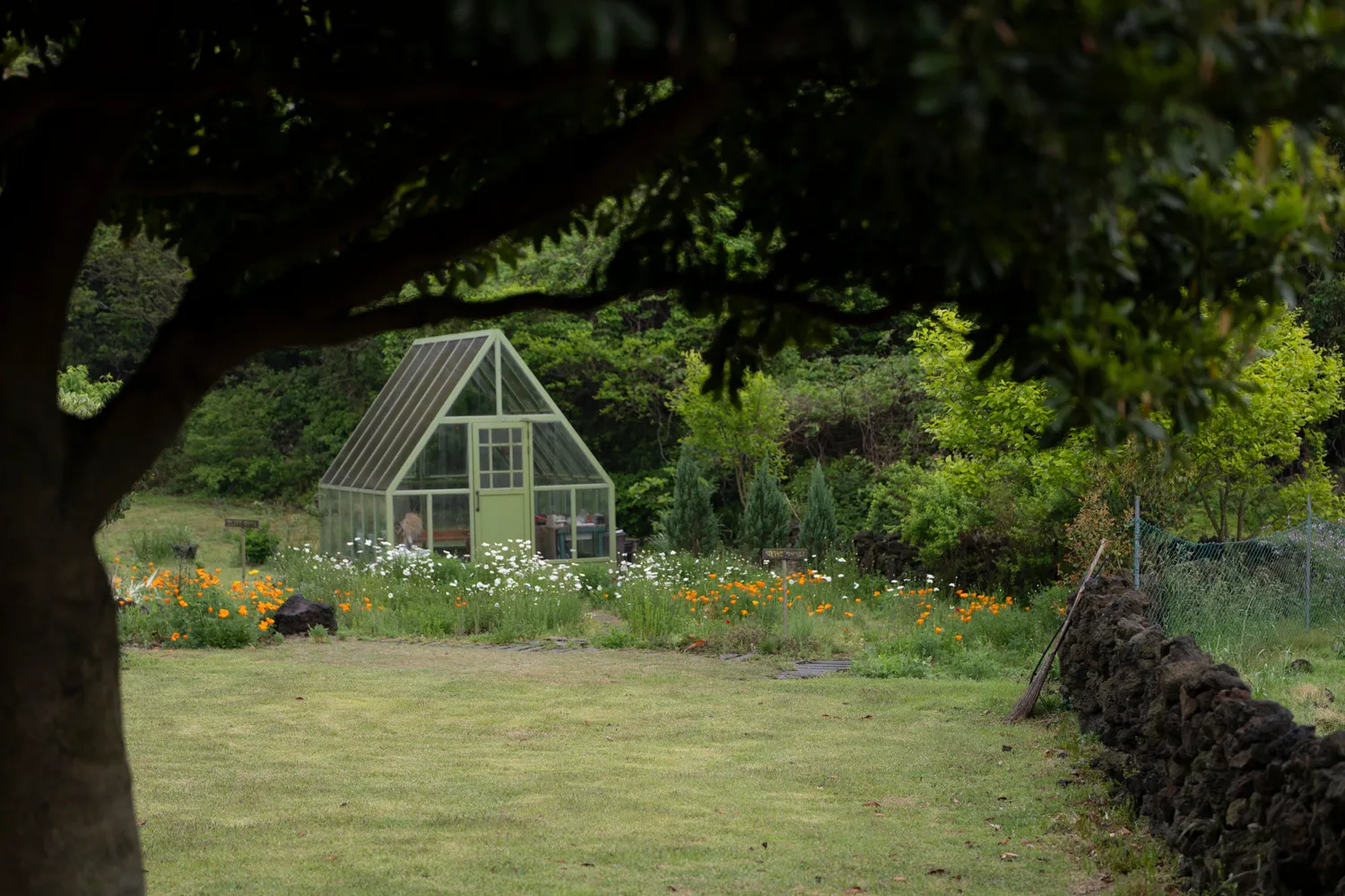 20230429 - 제주 출사 1일차