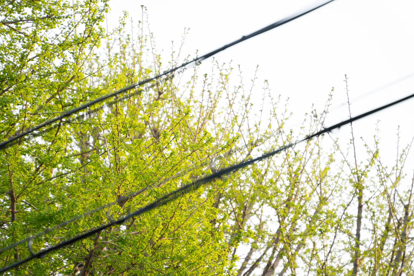 노을 빛과 함께한 산책