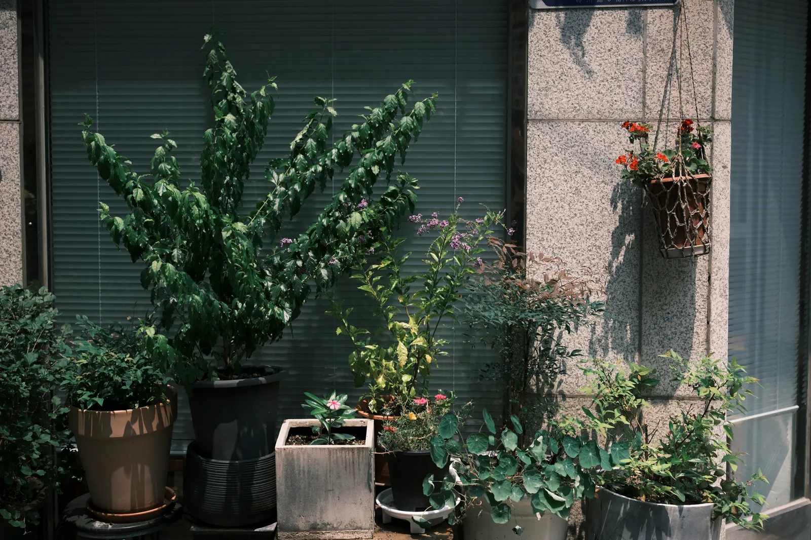 20240713 - 망원 산책